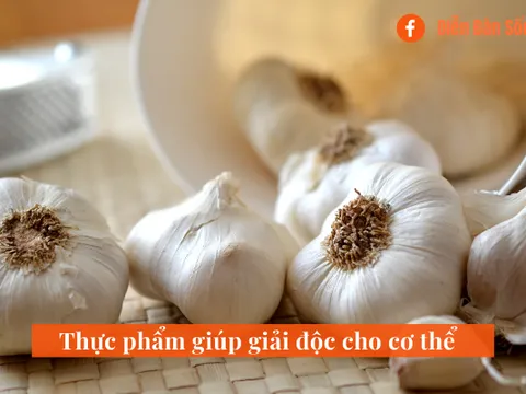 Ngoài phương pháp vận động thì những loại thực phẩm nào giúp cơ thể giải độc?